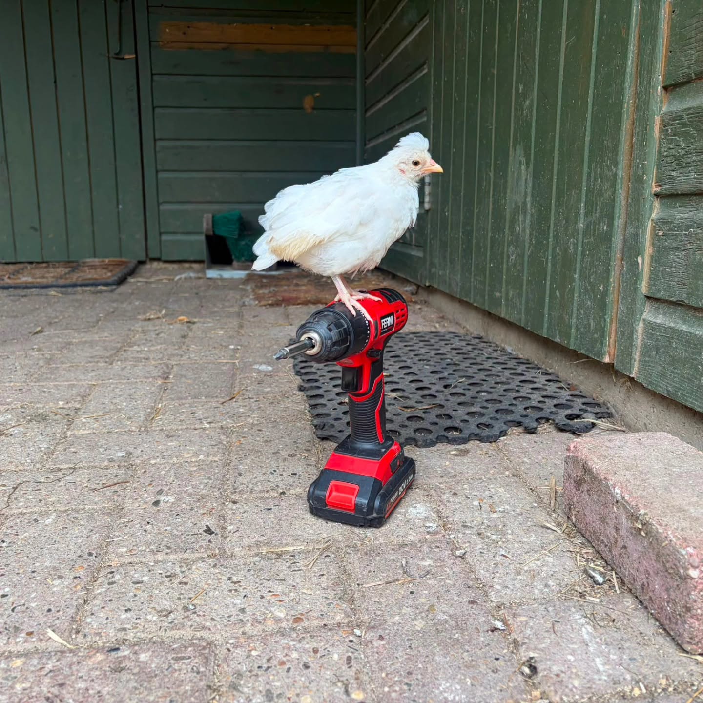 werkzaamheden_kinderboerderij.jpg